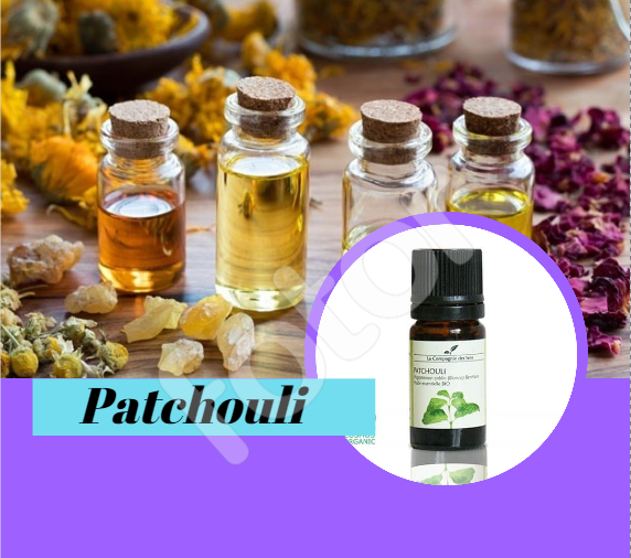 PATCHOULI HUILE ESSENTIELLE BIO 5ml Lessenciel