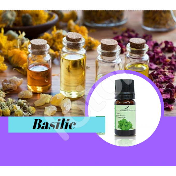 BASILIC - HUILE ESSENTIELLE BIO - 5ml