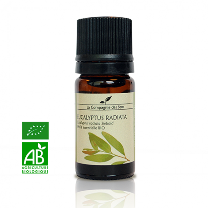 EUCALYPTUS RADIATA - HUILE ESSENTIELLE BIO - 5ml