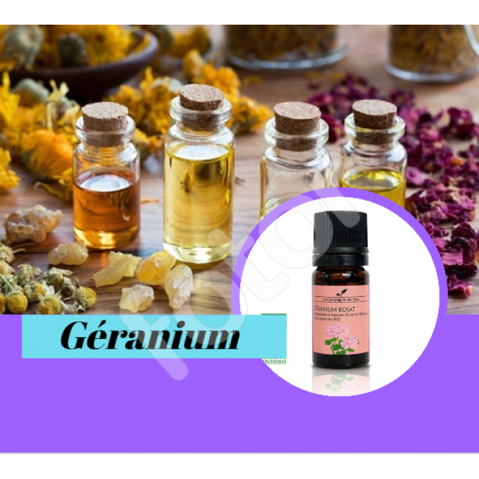 GÉRANIUM ROSAT - HUILE ESSENTIELLE BIO - 5ml