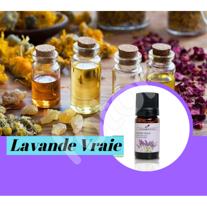 LAVANDE VRAIE - HUILE ESSENTIELLE BIO - 5ml