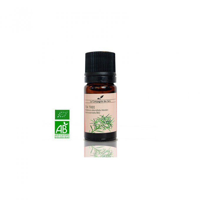 TEA TREE - HUILE ESSENTIELLE BIO - 5ml