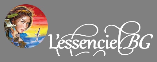 lessenciel.org